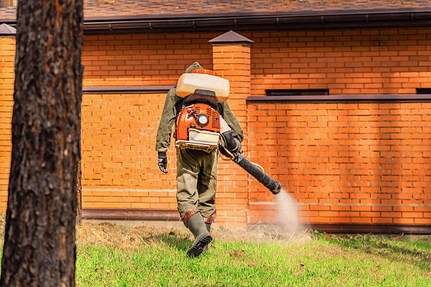 Top rated local Wasp Removal specialists in Waynesville, MO
